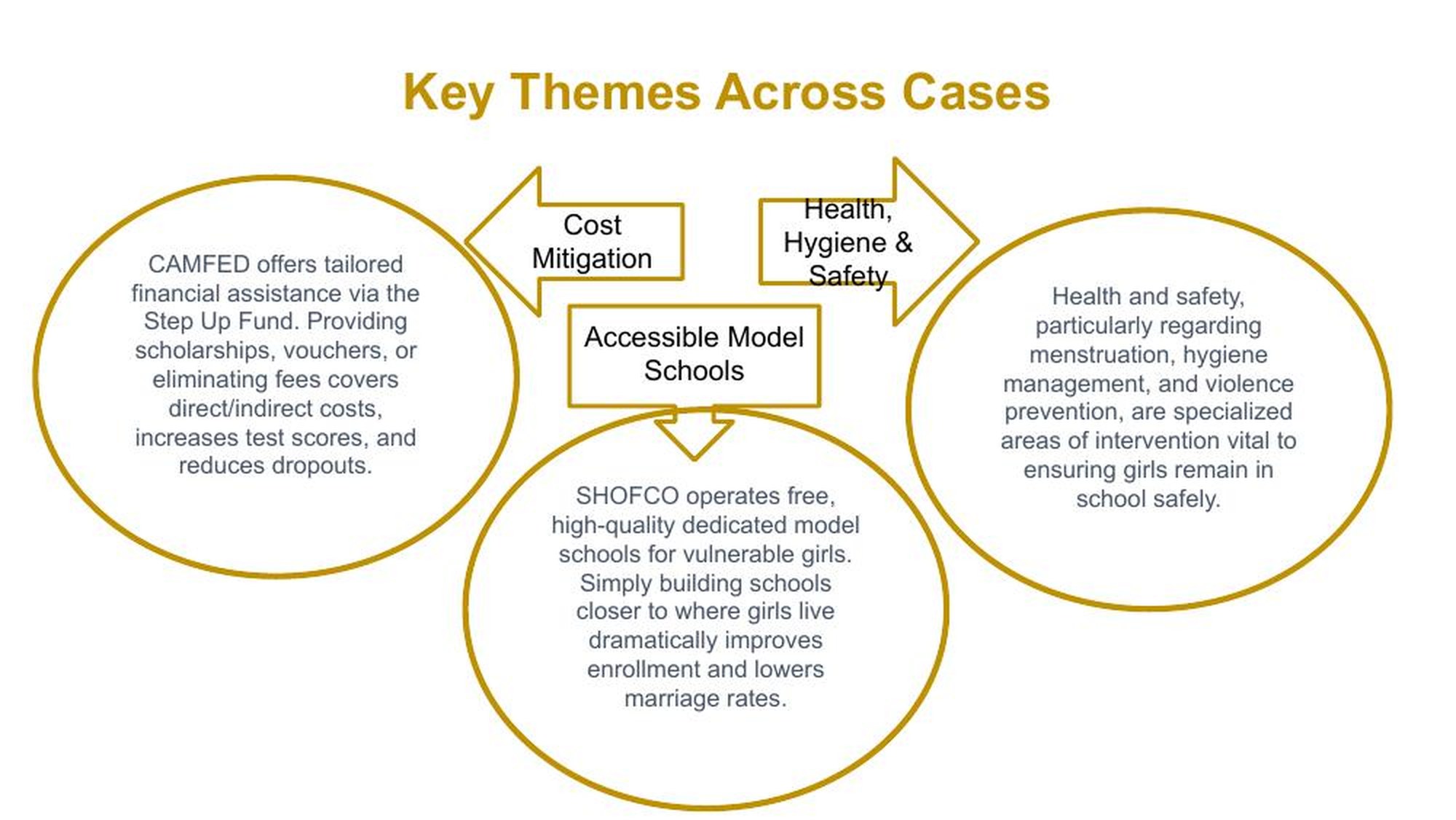 Diagram of three key themes across the case studies: cost mitigation, accessible model schools, and health, hygiene and safety